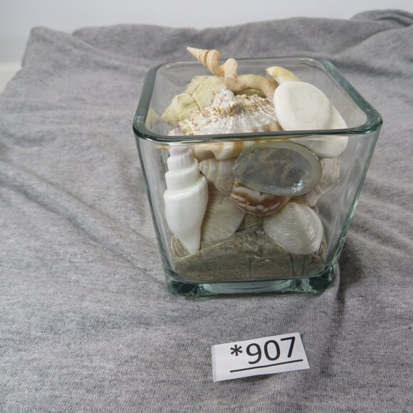 REAL Sea Shells in a Glass Square Vase and sand #12 - Picture 4 of 11